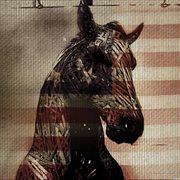 Live horses cover image