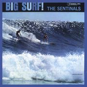 Big surf cover image