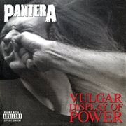Vulgar display of power cover image