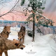 A gentle reminder [deluxe edition] cover image