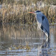 The long wait cover image