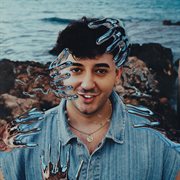 Salsedine cover image