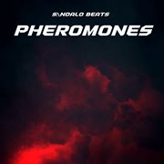 Pheromones cover image
