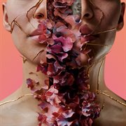 Dust Fragments cover image