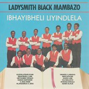 Ibhayibheli liyindlela cover image