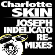 Skin - joseph indelicato remixes cover image