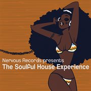 The soulful house experience cover image
