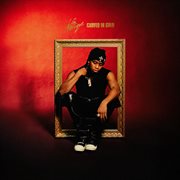 Carved In Gold cover image