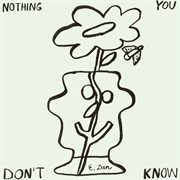 Nothing You Don't Know cover image
