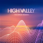 The bergie remixes cover image