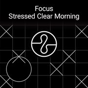 Focus: stressed clear morning cover image