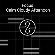 Focus: calm cloudy afternoon cover image