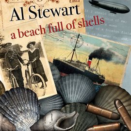 A Beach Full of Shells