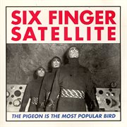 The pigeon is the most popular bird cover image