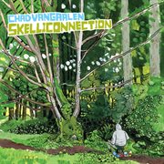 Skelliconnection cover image