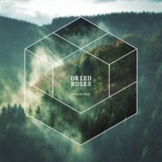 Found A Light cover image