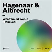 What would we do (remixes) cover image