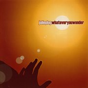 Whatever you wonder cover image