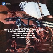 Schubert: piano trio no. 1, d. 898 & sonatensatz, d. 28 cover image