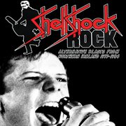 Shellshock rock: alternative blasts from northern ireland 1977-1984 cover image