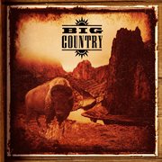 The compulsion years: demos cover image