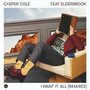 I want it all [remixes] cover image
