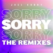Sorry (the remixes) cover image