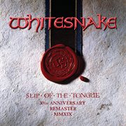 Slip of the tongue cover image