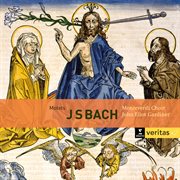 Bach: motets bwv 225-231, cantatas bwv 50 & 118 cover image