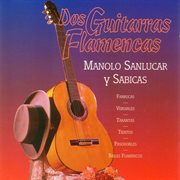 Dos guitarras flamencas cover image
