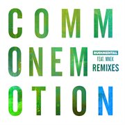 Common emotion  [remixes] cover image