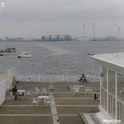 Miami vice cover image