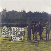 Kingdom of the big white rabbit cover image
