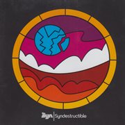 Syndestructible cover image