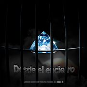 Desde el encierro cover image