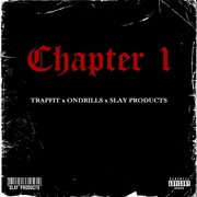 Chapter 1 cover image
