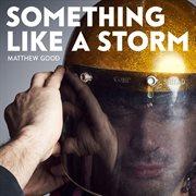 Something like a storm cover image