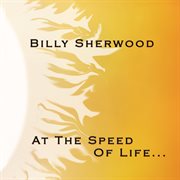 At the speed of life cover image