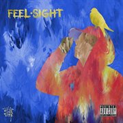 Feel & sight cover image