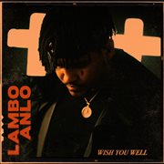 Wish you well cover image