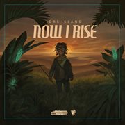 Now I Rise cover image