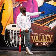 Valley : remix cover image