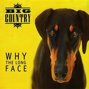 Why the long face (bonus tracks & demos) cover image