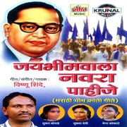 Jaybhimwala Navara Pahije cover image