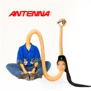 Antenna cover image
