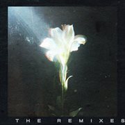 Light That Leads Me (The Remixes) cover image