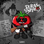 Puras De Sinaloa, Vol.1 cover image