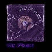 NIZ PROJECT cover image