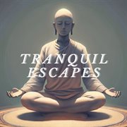 Tranquil Escapes: Nature-inspired Meditations for Restful Mindfulness : Nature inspired Meditations for Restful Mindfulness cover image