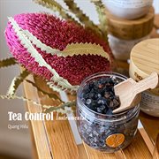 Tea Control (Instrumental) cover image